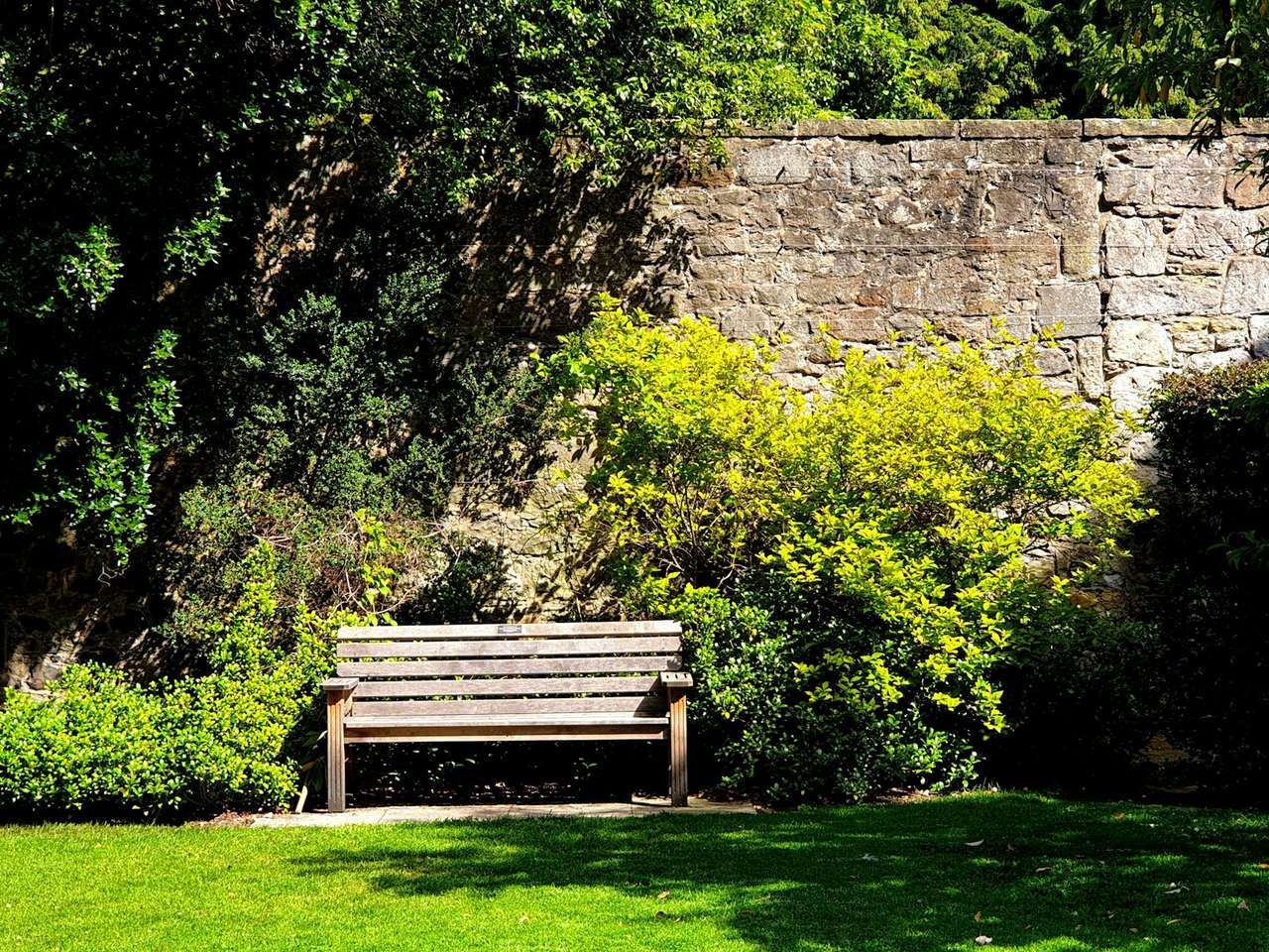 Wooden bench in a sunny walled garden