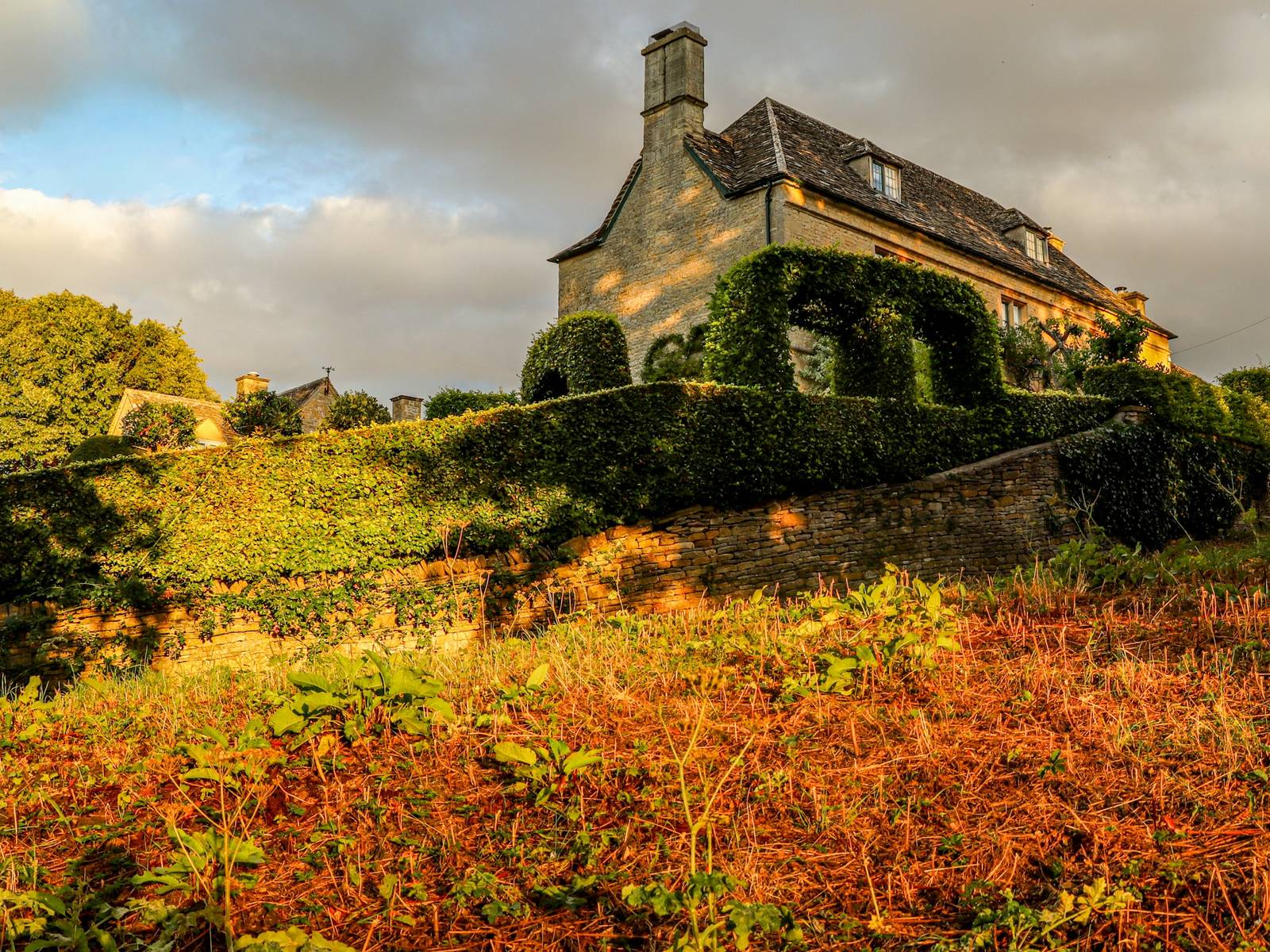 Ivy-covered stone house above a hedge and bracken in late golden sun
